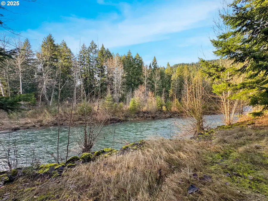 115 1st Ave, Randle, WA 98377 - Image #3