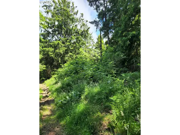 NE Necarney St, RockawayBeach, OR 97136