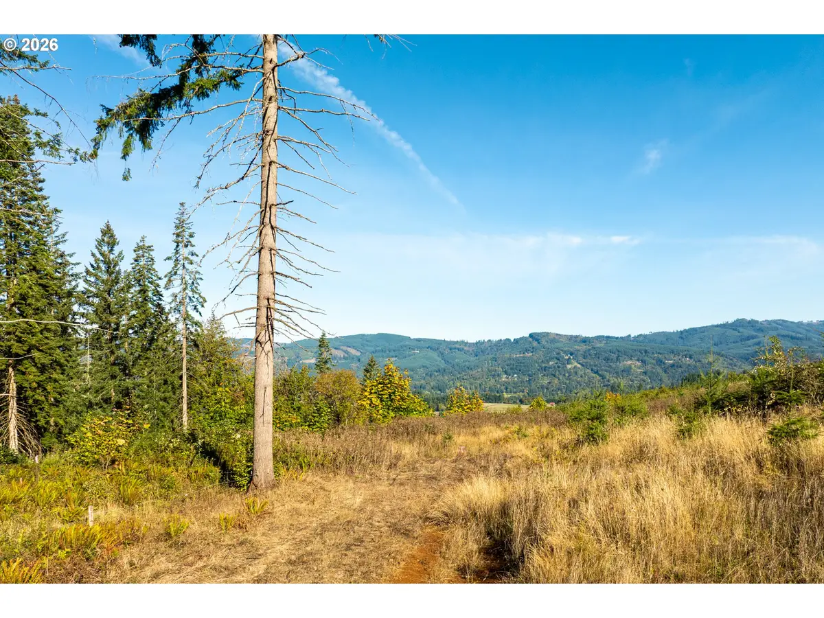 39412 NE 31st Ave, Lacenter, WA 98629 - #1