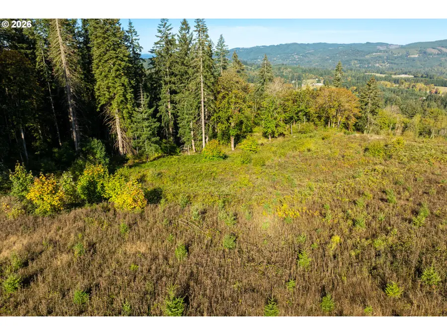 39412 NE 31st Ave, Lacenter, WA 98629 - #2