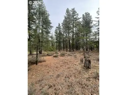 Red Spuce Rd, Goldendale, WA 98620 - #1