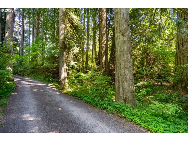 E Zig Zag River Rd, Rhododendron, OR 97049