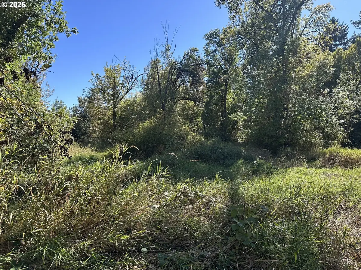 0 Monroe Cemetery Rd, Monroe, OR 97456 - #1