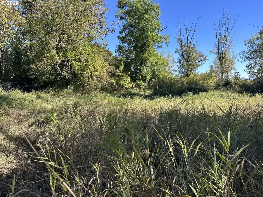 0 Monroe Cemetery Rd, Monroe, OR 97456 - #3