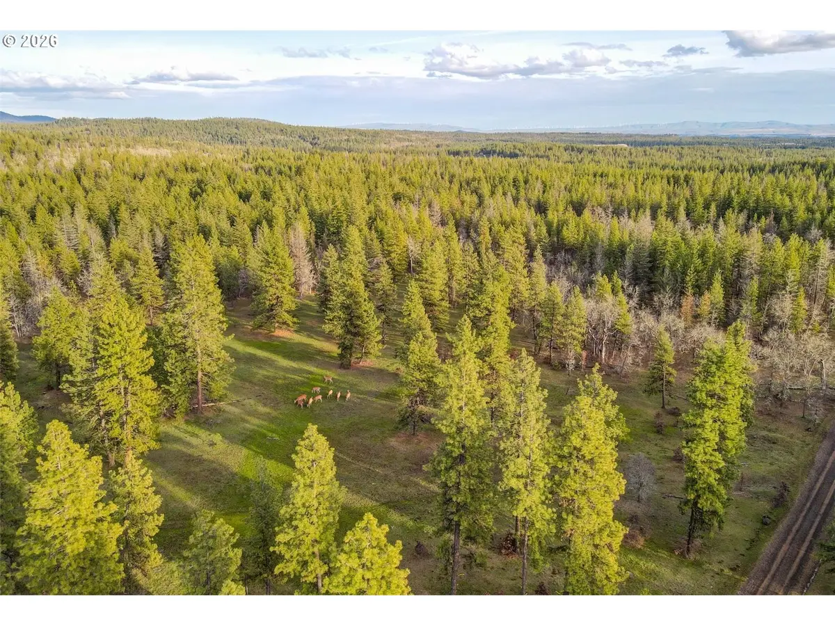 0 Lot 15 Greyback Mt Rd, Goldendale, WA 98620 - #1