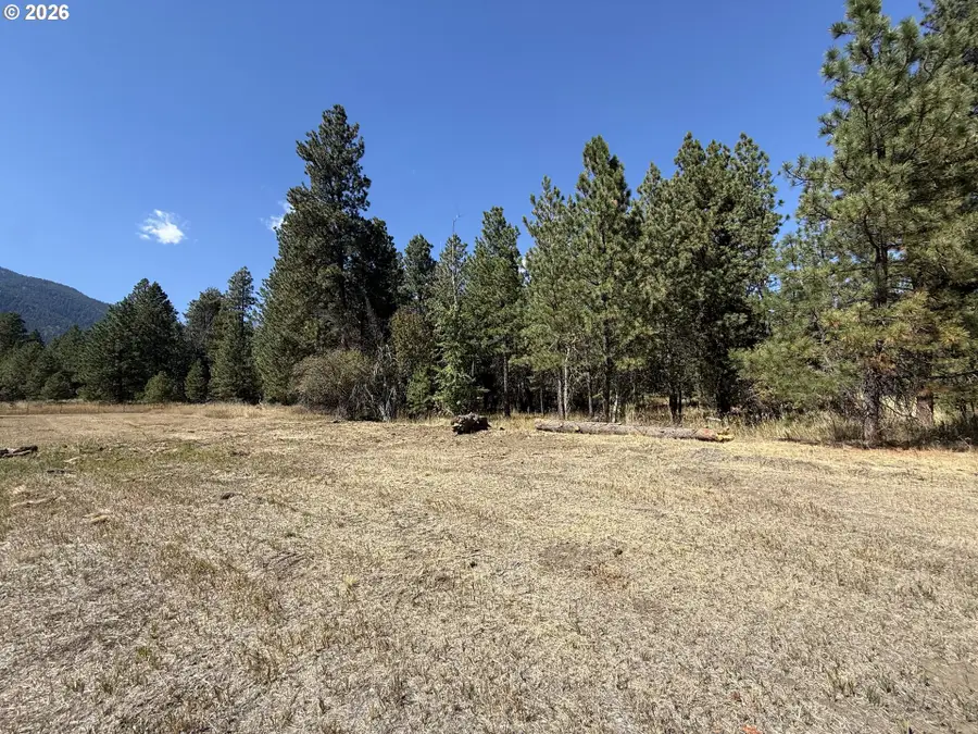 13735 Red Fox Ln, Wingville Haines, OR 97814 - #2