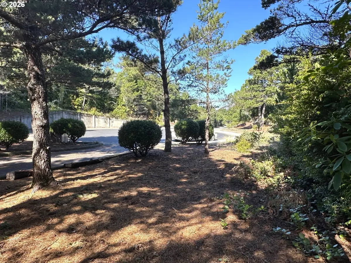 Sailors Ravine Ct, Florence, OR 97439 - #1