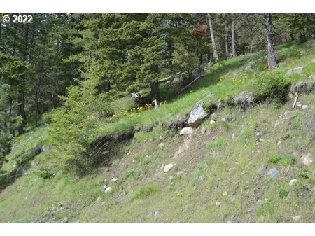 0 Lakeshore Dr, WallowaLake, OR 97846