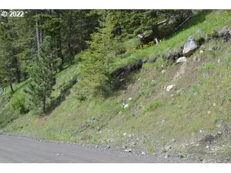 0 Lakeshore Dr, Wallowa Lake, OR 97846 - #2