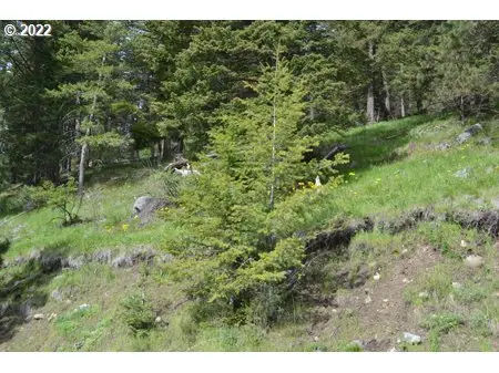 0 Lakeshore Dr, Wallowa Lake, OR 97846 - #3