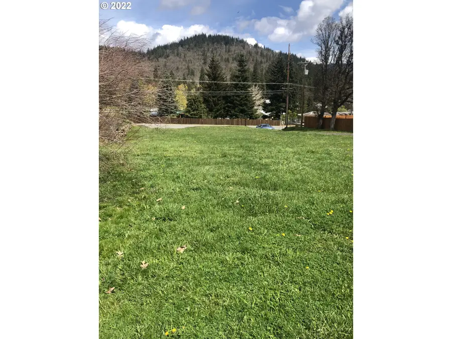 145 Loop Rd, White Salmon, WA 98672 - #3