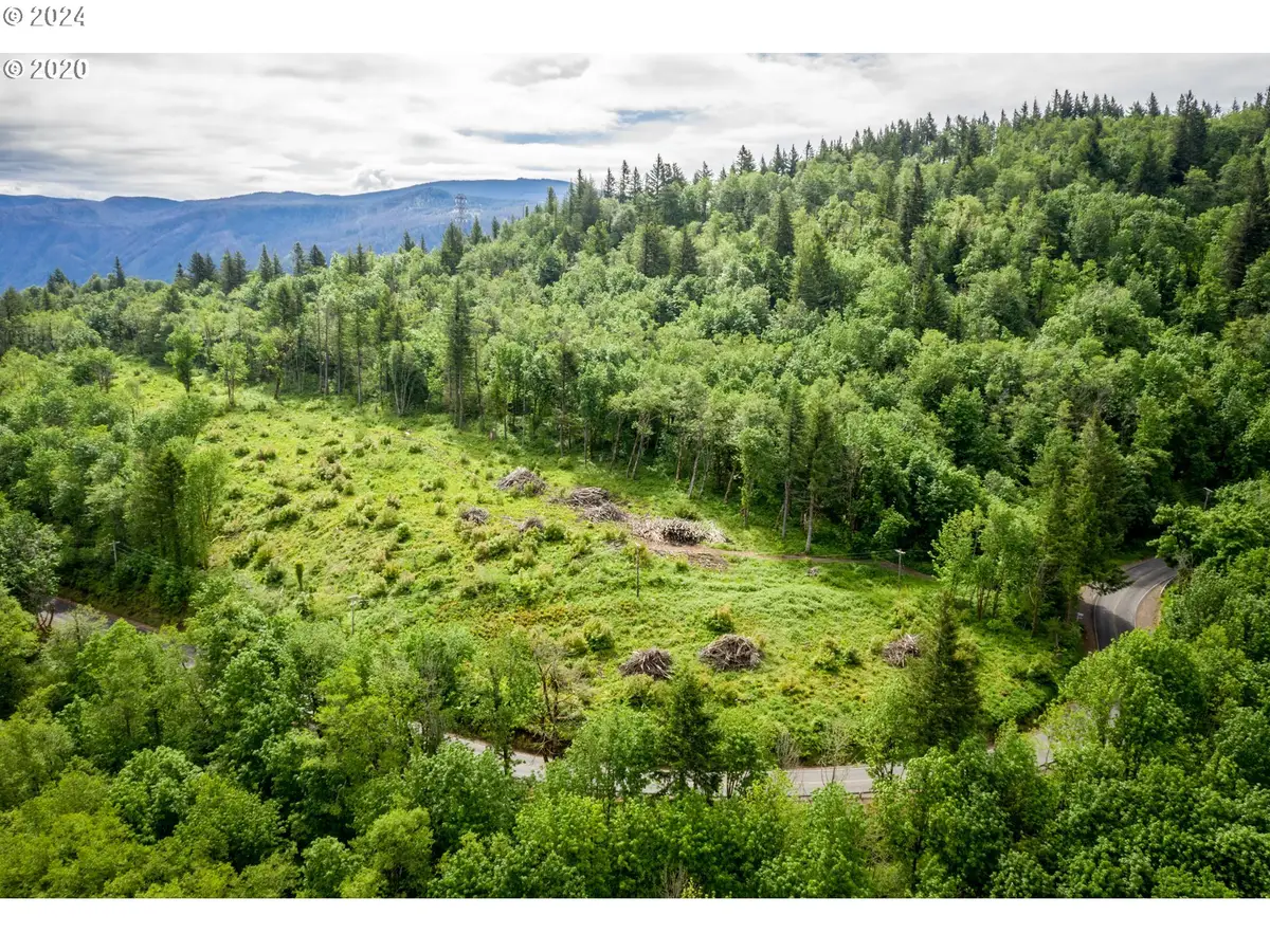 Mt Pleasant Rd, Washougal, WA 98671 - #1