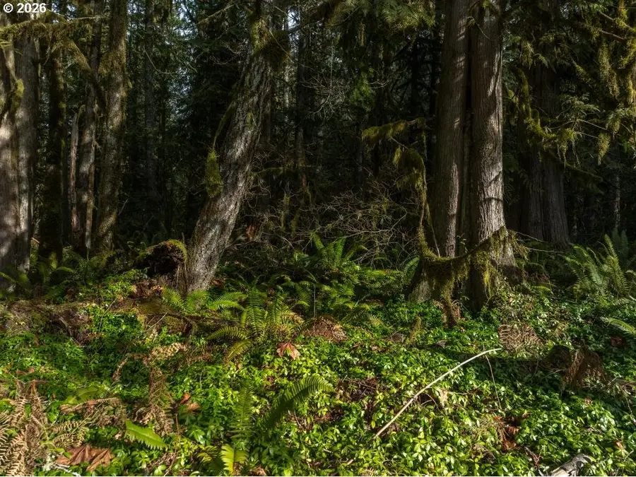 70551 E Mountain Dr, Welches, OR 97067 - #3