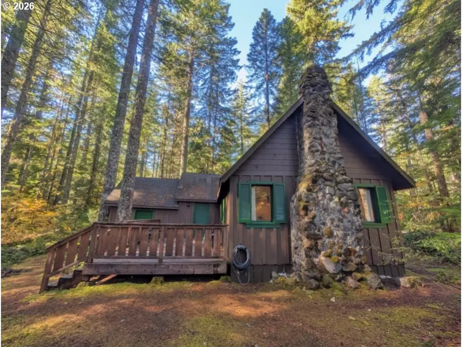 78880 E Rd 34 Lot 42, Rhododendron, OR 97049 - #3