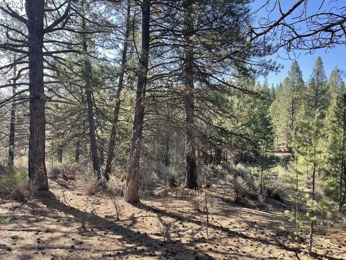 01000 Brook Trout Ln, Chiloquin, OR 97624 - #1