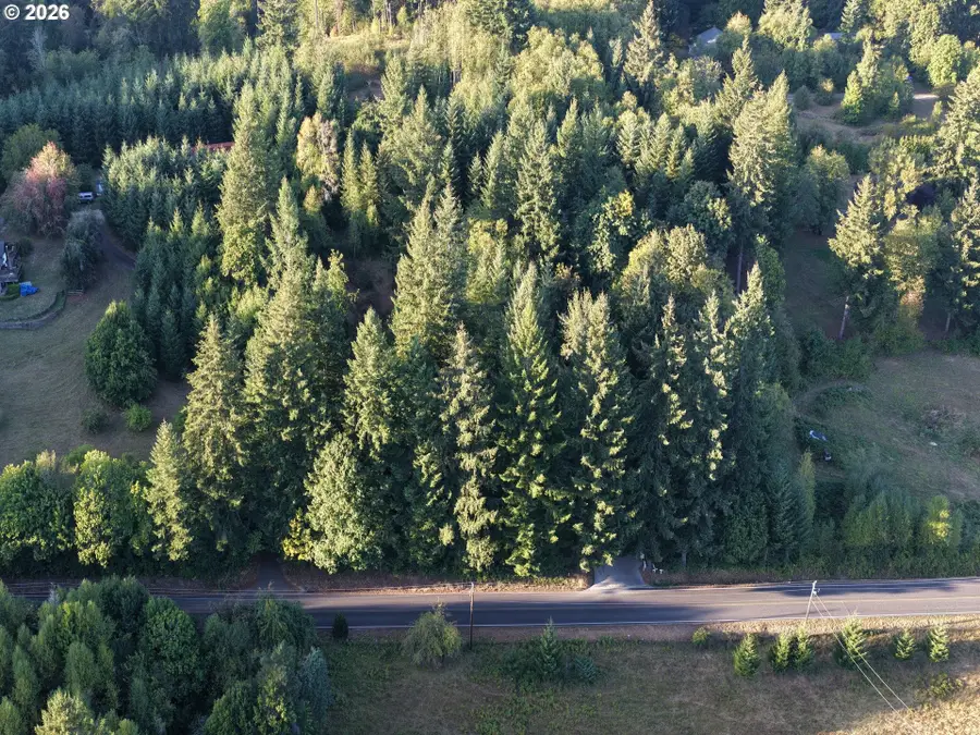 399th, Amboy, WA 98601 - #3