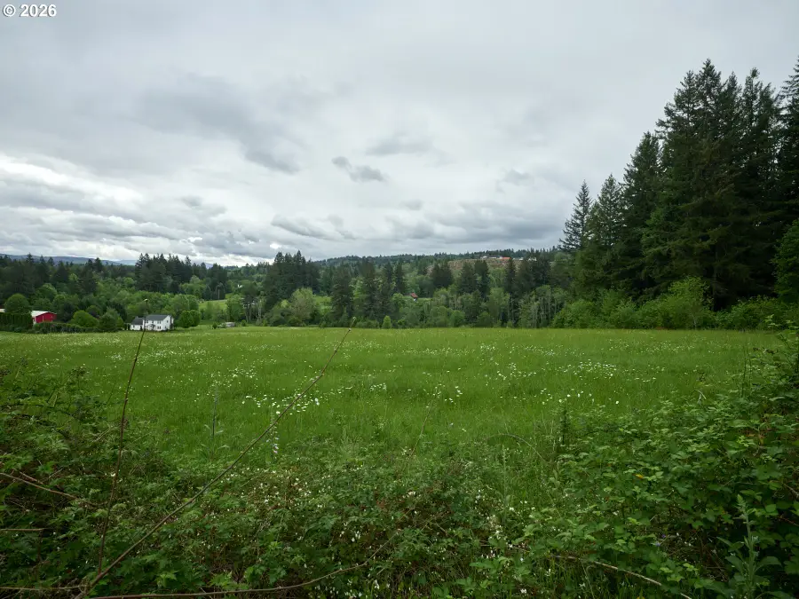 00 NE 389th St, Amboy, WA 98601 - #2