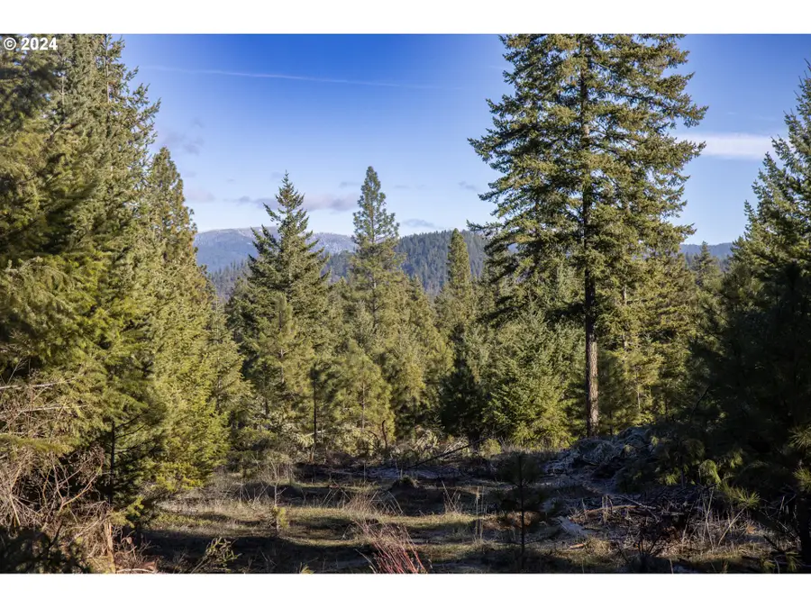 Ranger Rd #1, Goldendale, WA 98620 - #2