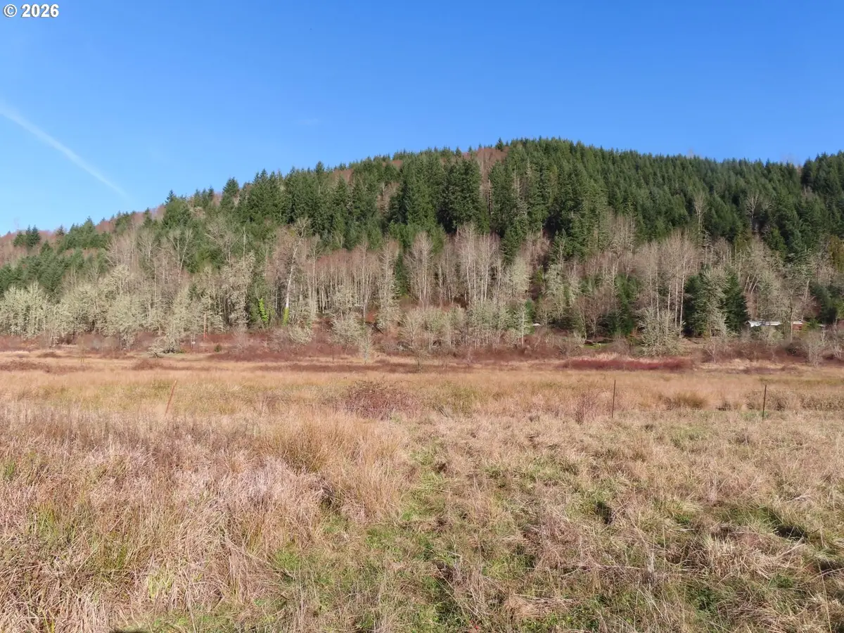 Larson Rd, Mossyrock, WA 98564 - #1