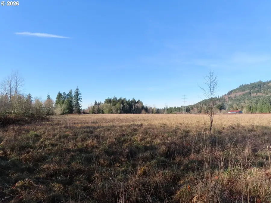 Larson Rd, Mossyrock, WA 98564 - #2