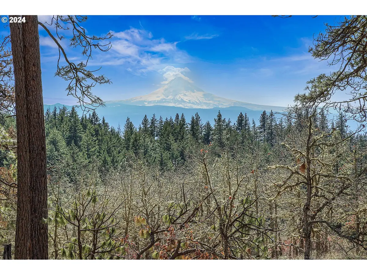 Secluded Way #2, Lyle, WA 98635 - #1