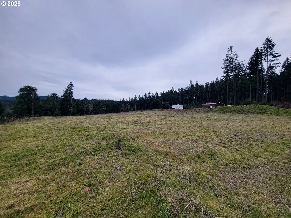 Gowdyville Rd, Cottage Grove, OR 97424 - #1