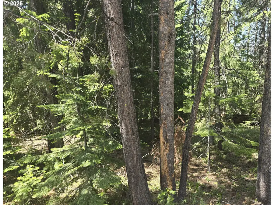 26 Diamond Peak Dr, Crescent Lake, OR 97733 - #2