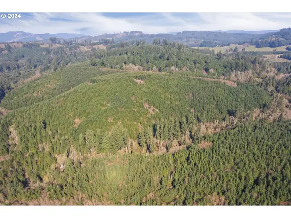 0 NE Cedar Mist Rd, Amboy, WA 98601