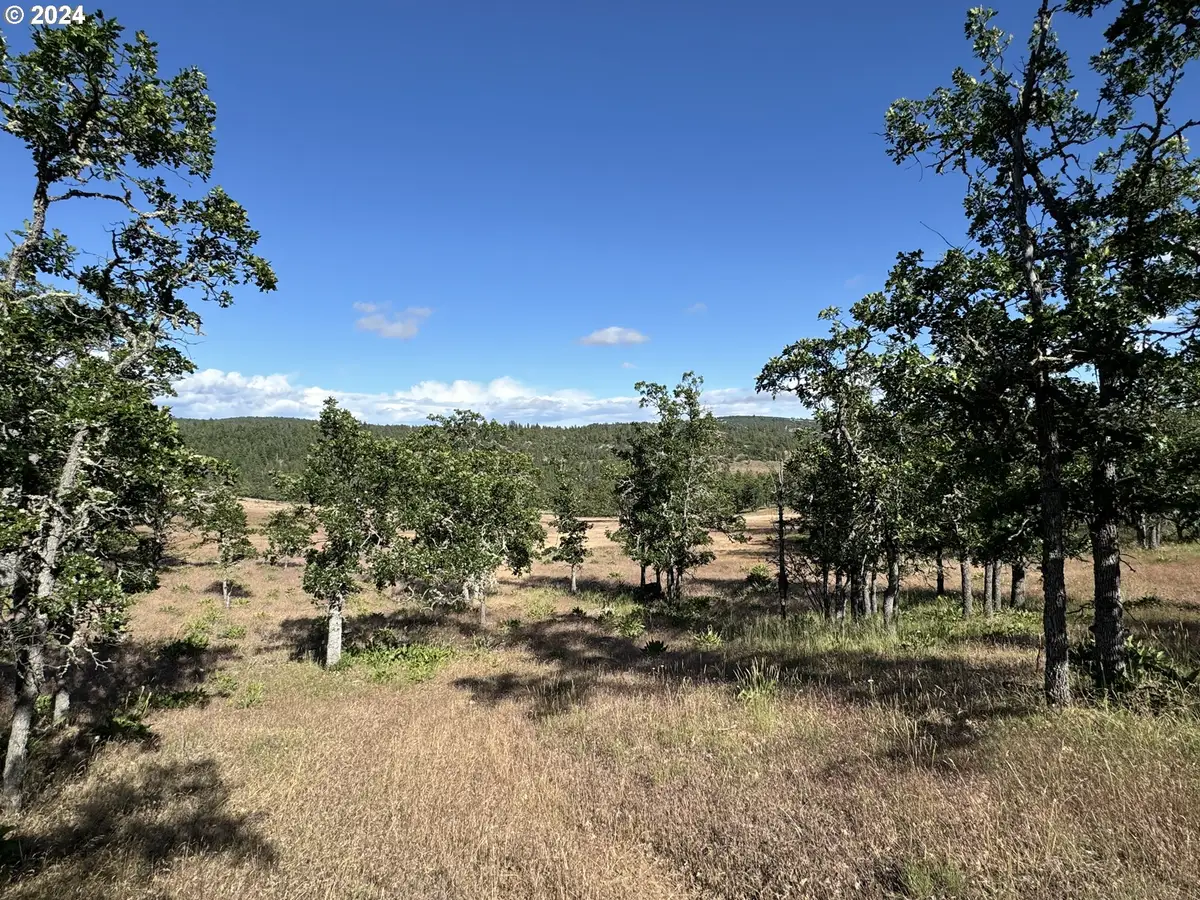 Piney Woods, Goldendale, WA 98620 - #1