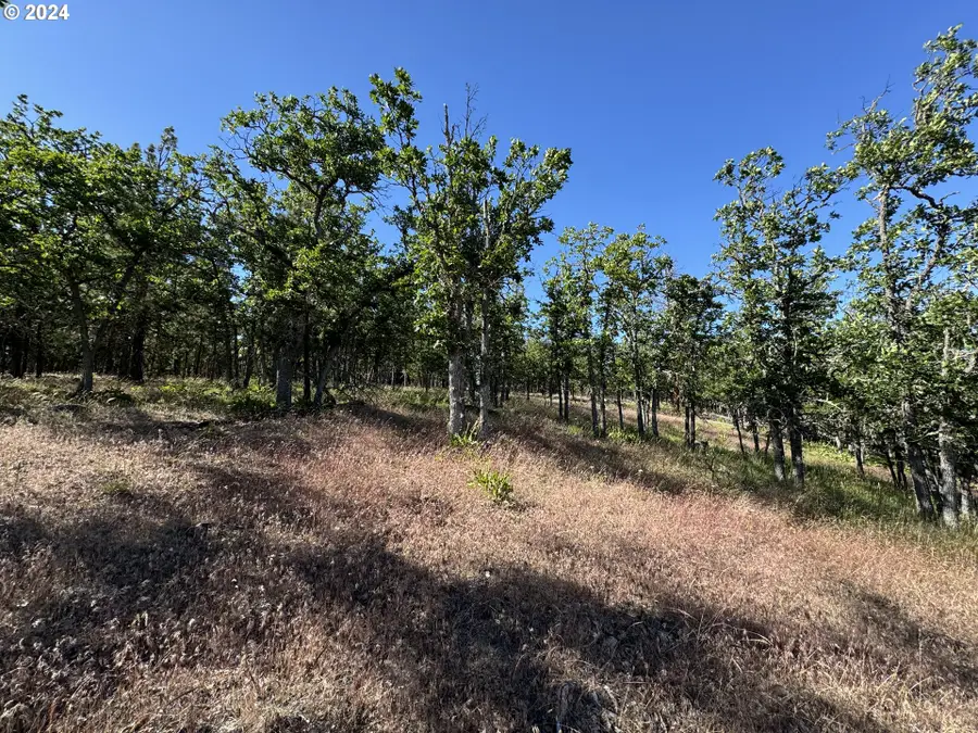 Piney Woods, Goldendale, WA 98620 - #2