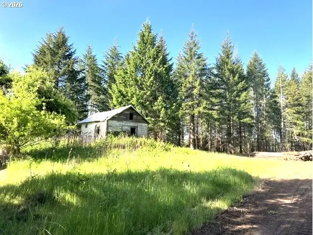 NW Lodge Rd, Banks, OR 97106 - #1