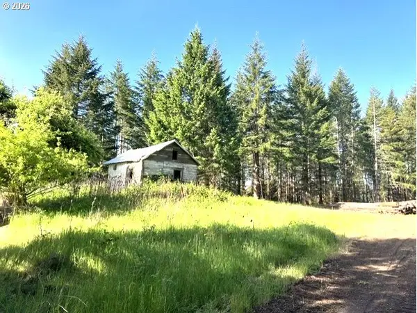 NW Lodge Rd, Banks, OR 97106