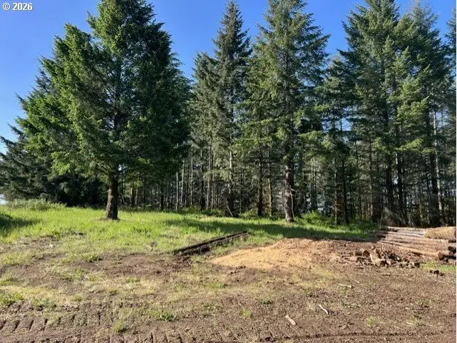 NW Lodge Rd, Banks, OR 97106 - #3