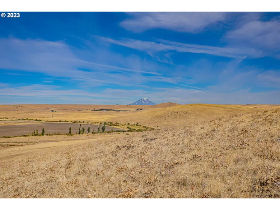 1602 Centerville Hwy, Centerville, WA 98613 - Image #3