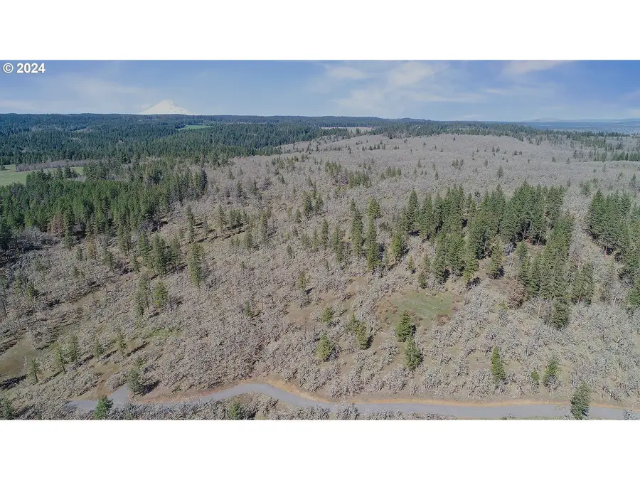 Secluded Way #4, Lyle, WA 98635 - #3