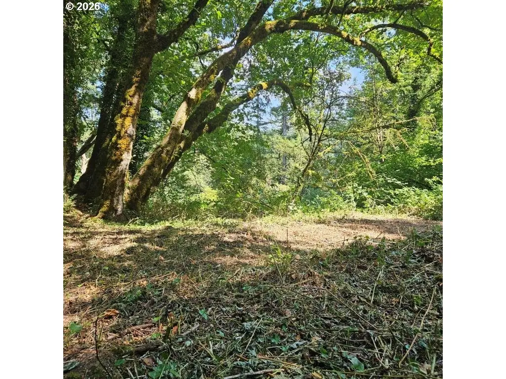 0 Washougal River Rd #103, Washougal, WA 98671 - #1