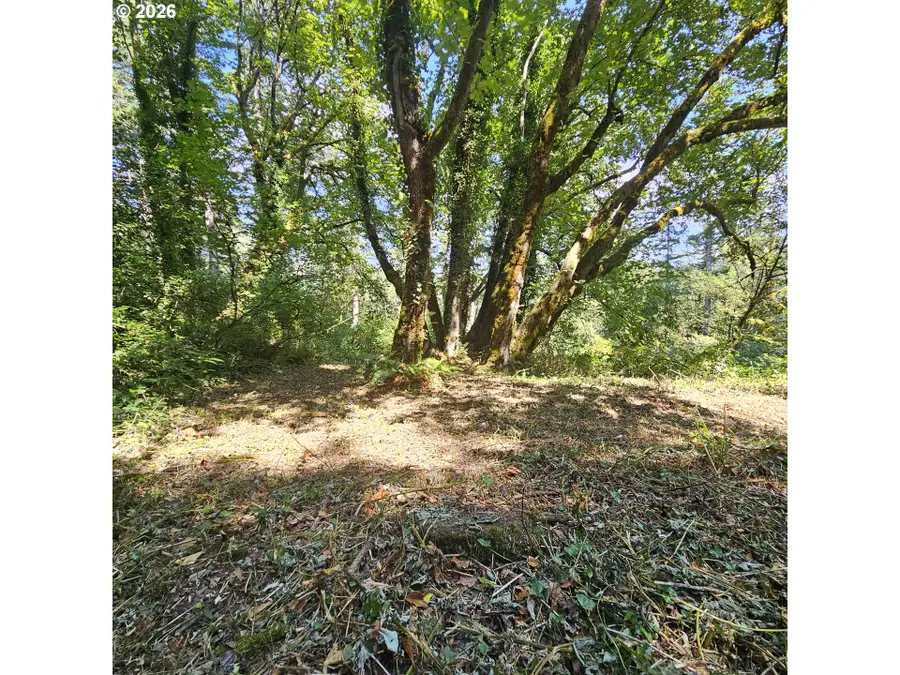 0 Washougal River Rd #103, Washougal, WA 98671 - #3