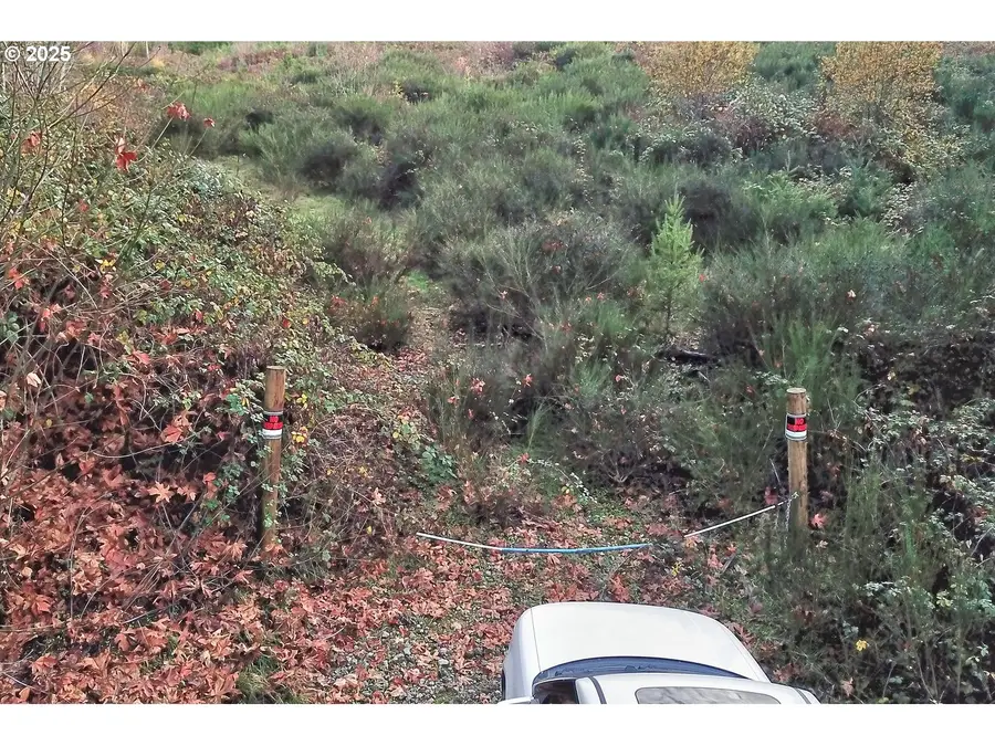 Eagle Point Rd, Sheridan, OR 97378 - Image #2