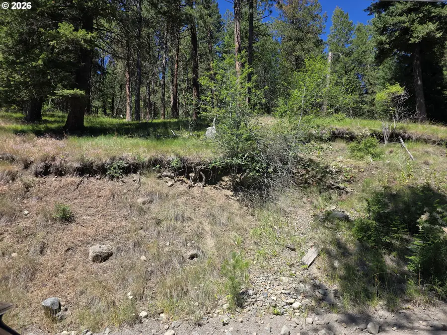 61290 Lake Shore Rd, Wallowa Lake, OR 97846 - #2