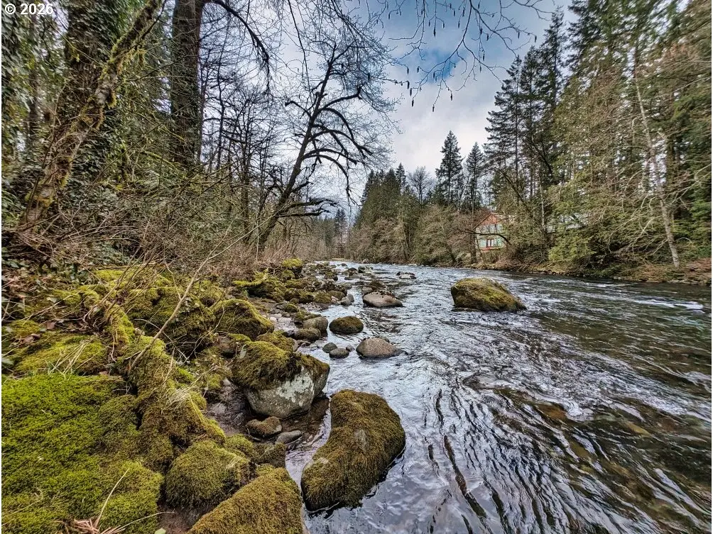 61875 E Jettview Ln, Brightwood, OR 97011 - #1