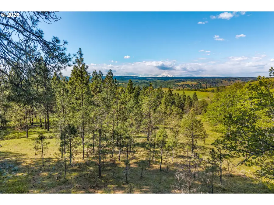 370 Rowland Rd, Lyle, WA 98635 - #2