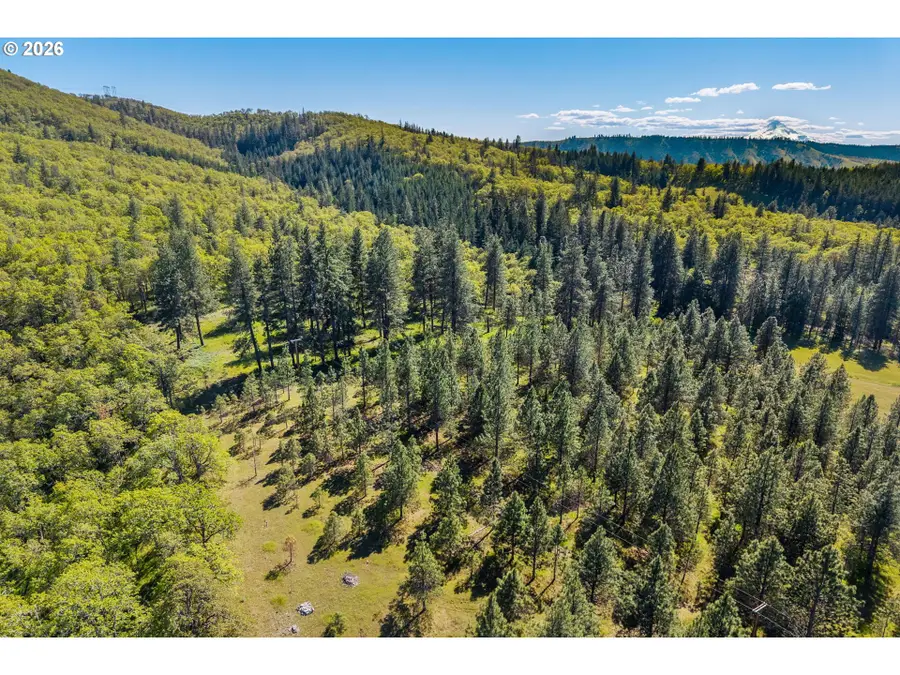 370 Rowland Rd, Lyle, WA 98635 - #3