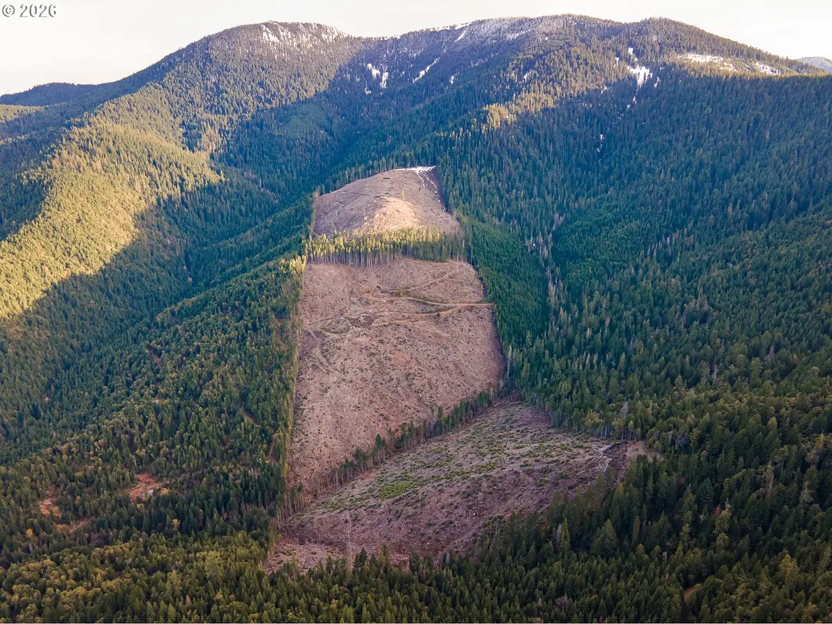 Rock Creek Rd, Williams, OR 97544 - #1