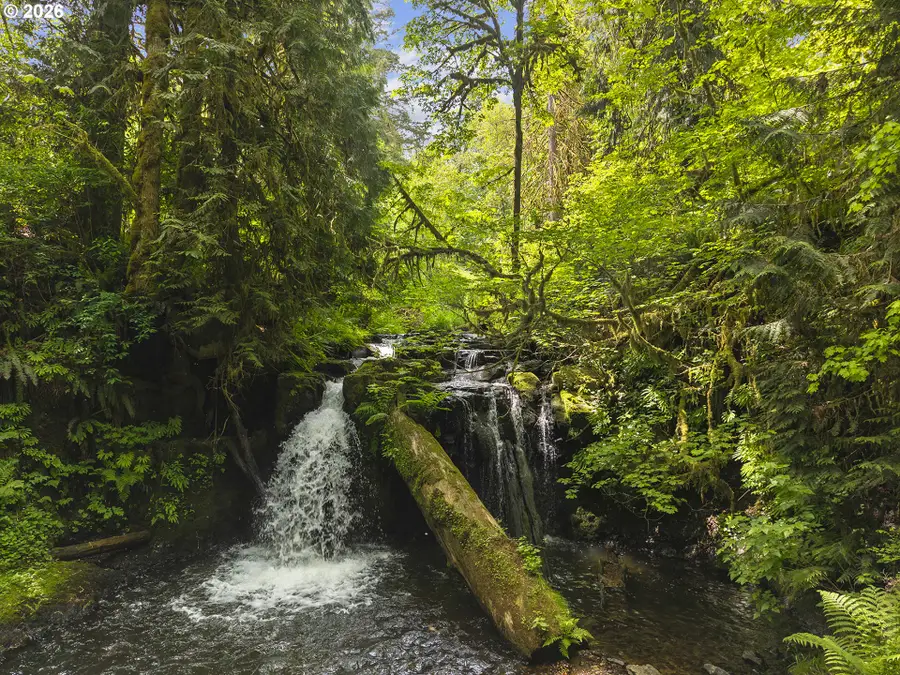 Hwy 30, Clatskanie, OR 97016 - #3