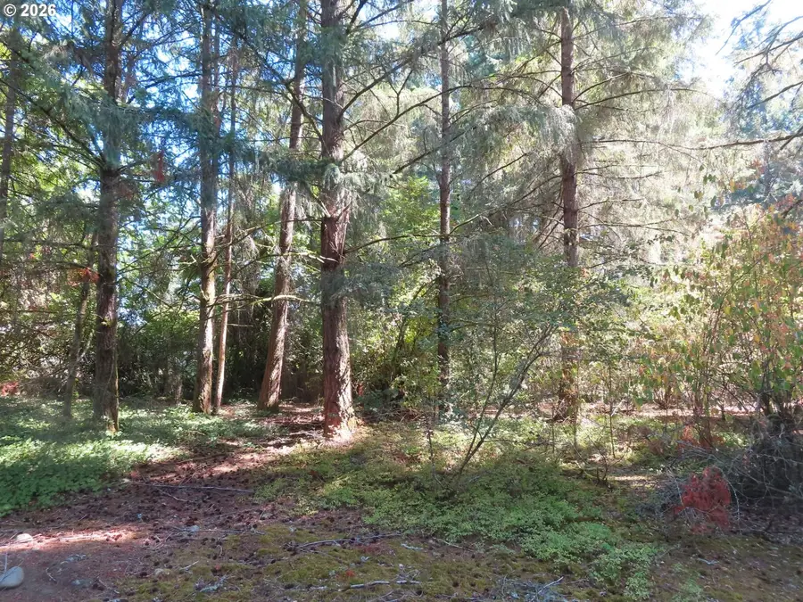 8021 Afflerbaugh Ct Se, Lacey, WA 98503 - #2