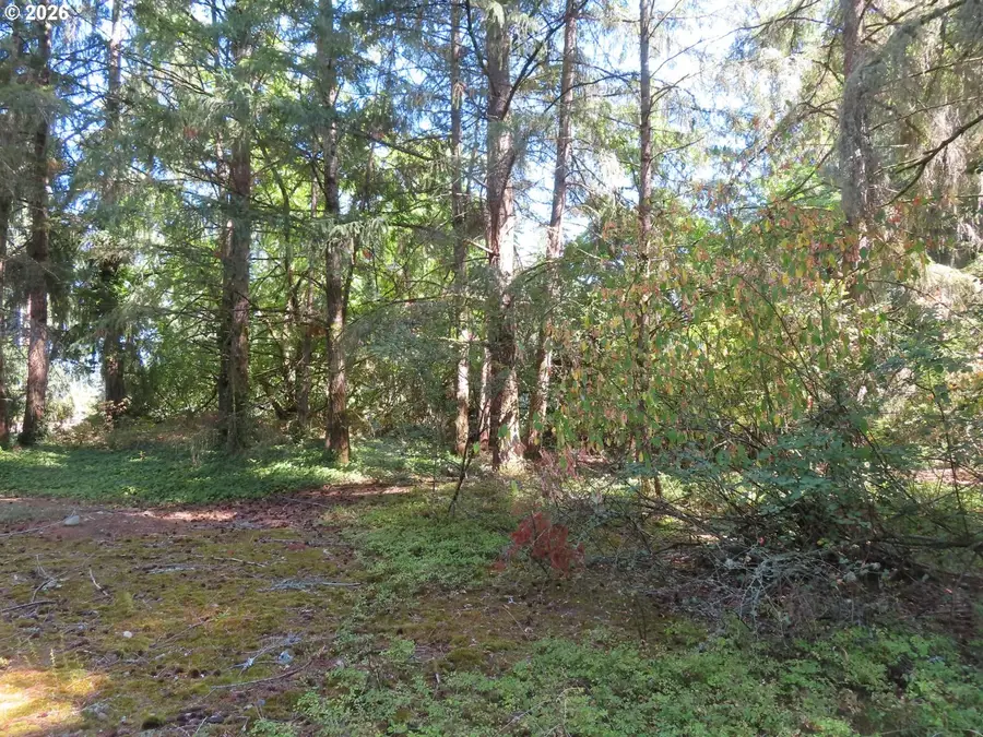 8021 Afflerbaugh Ct Se, Lacey, WA 98503 - #3
