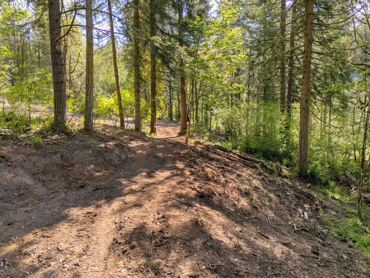 147 Old Spreadborough Rd, Kalama, WA 98625 - #1