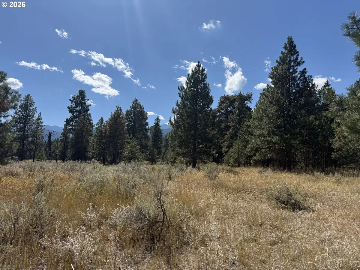 13740 Red Fox Lane #702, Wingville Haines, OR 97814 - #1