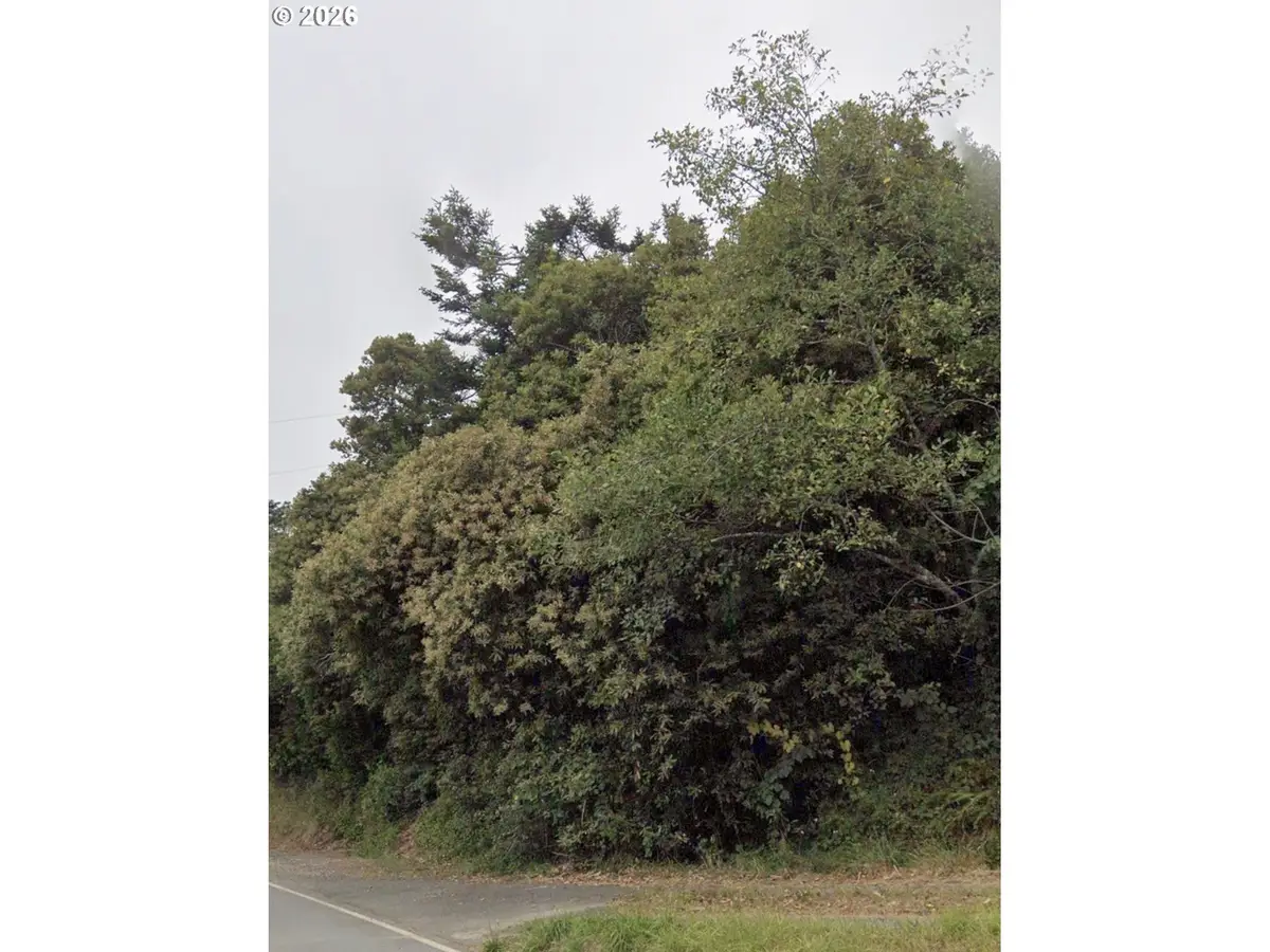Hillside Acres Rd, Gold Beach, OR 97444 - #1