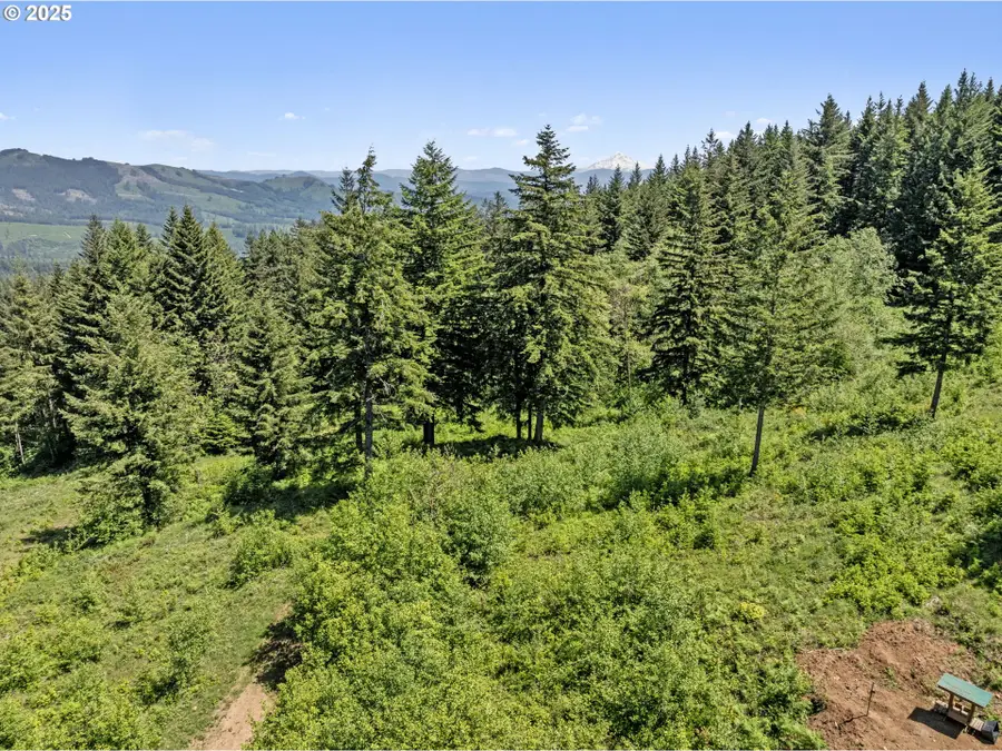 0 NE 298th Ct, Camas, WA 98607 - Image #3